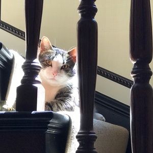 Meet your Posher, Lee